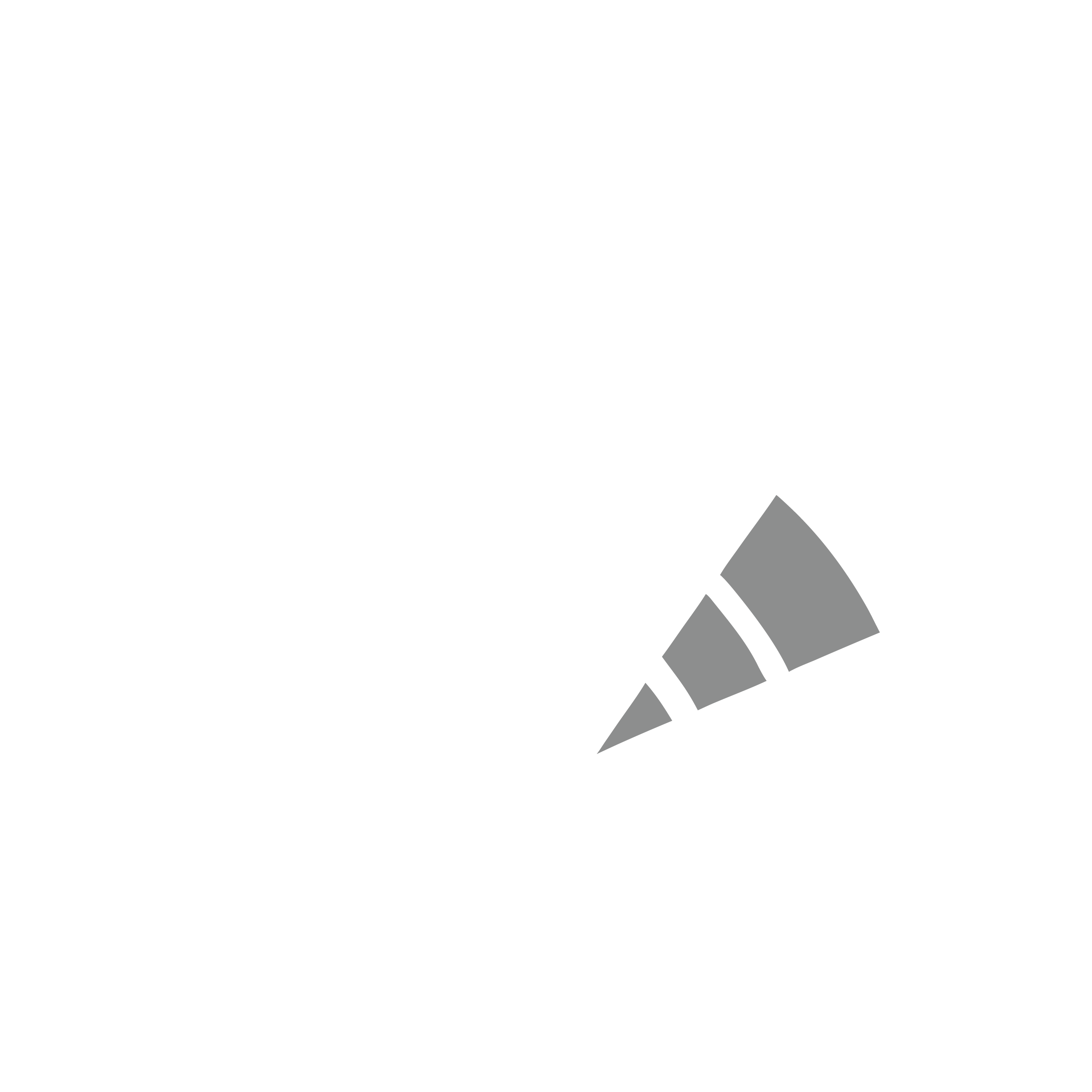 RIDAR plugin icon